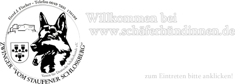 Besuchen Sie unsere Seite